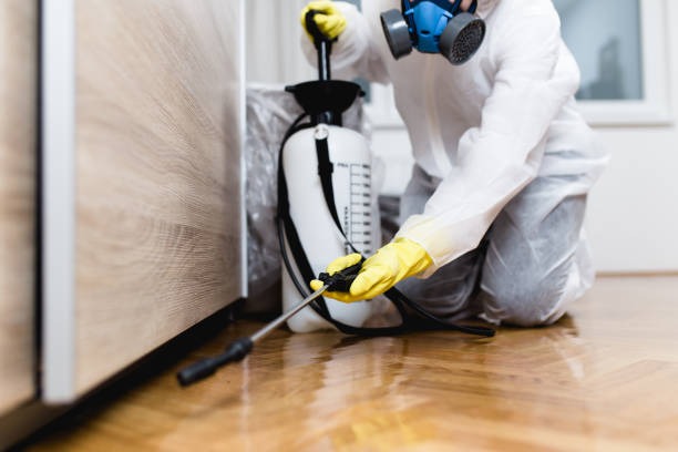 Best Commercial Pest Control Services  in Wayne, WV