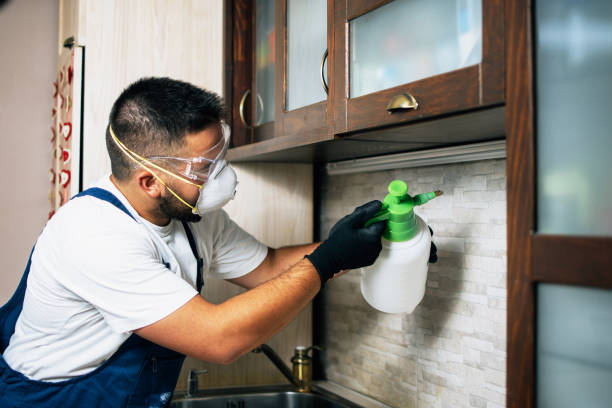 Best Mosquito Control Services  in Wayne, WV