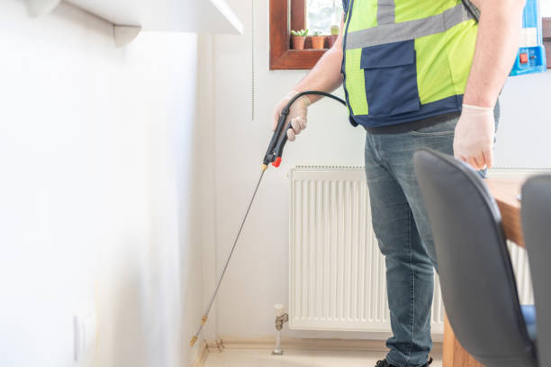 Best Flea Control Services  in Wayne, WV